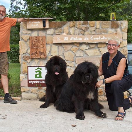 Posada Pet Friendly El Molino De Cantabria Entrambasaguas Kültér fotó
