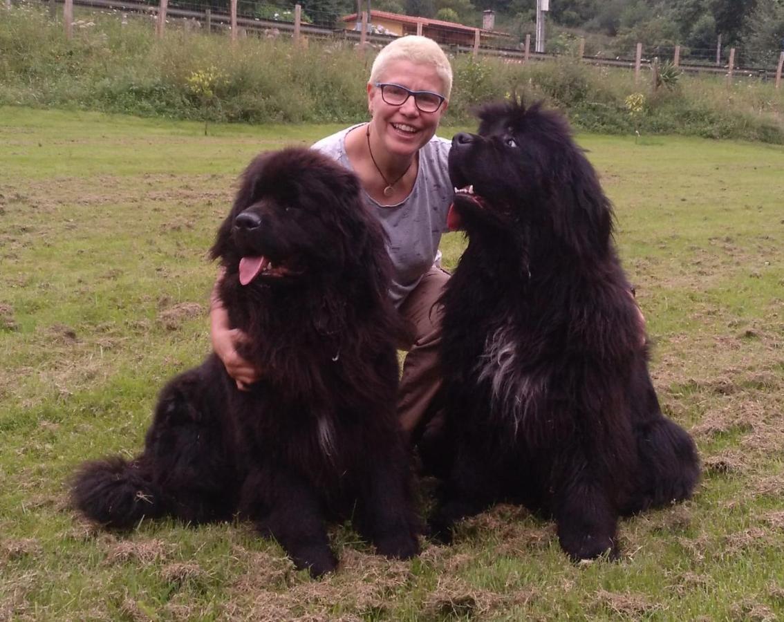 Posada Pet Friendly El Molino De Cantabria Entrambasaguas Kültér fotó