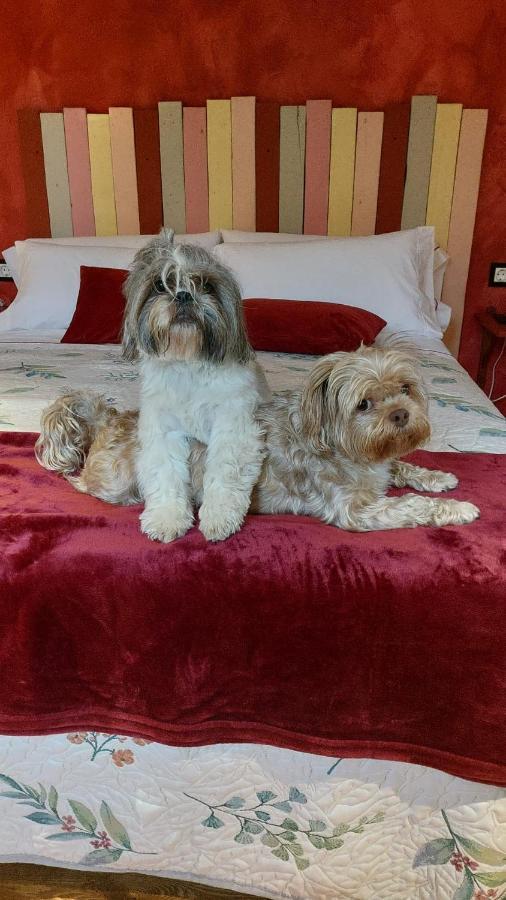 Posada Pet Friendly El Molino De Cantabria Entrambasaguas Kültér fotó