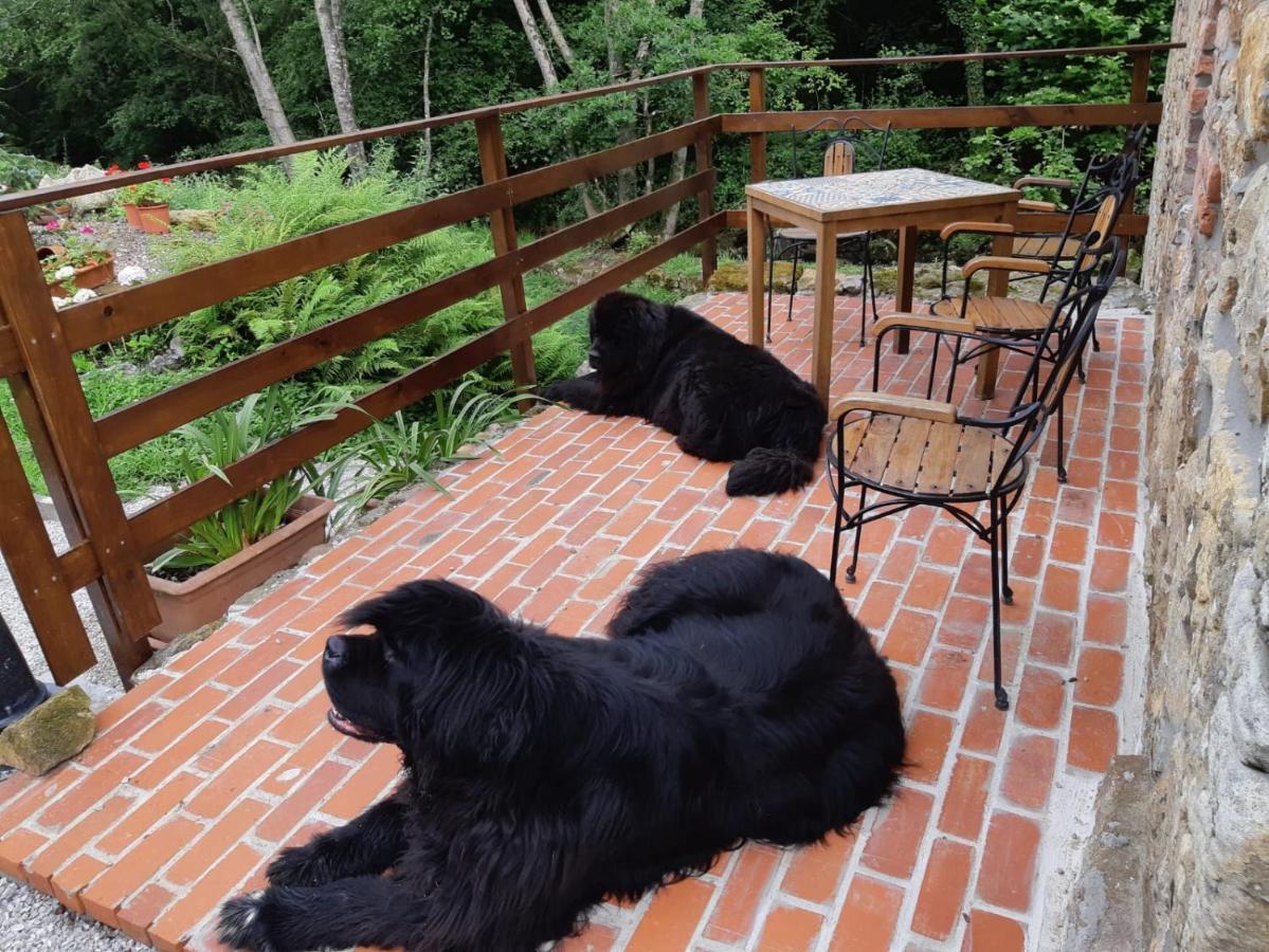 Posada Pet Friendly El Molino De Cantabria Entrambasaguas Kültér fotó