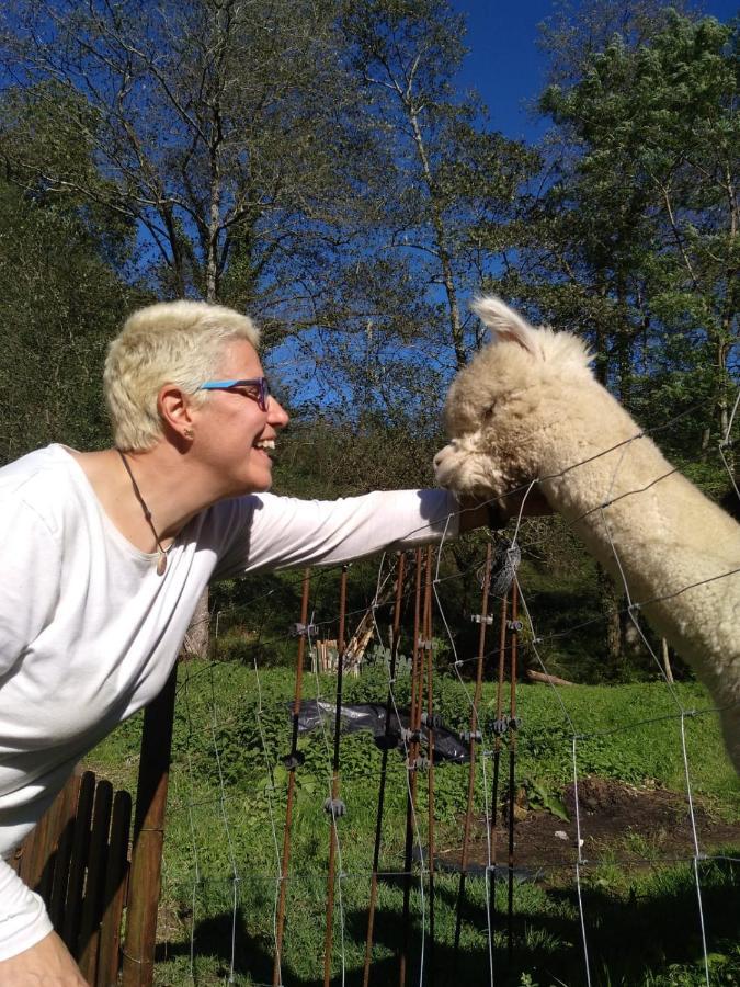 Posada Pet Friendly El Molino De Cantabria Entrambasaguas Kültér fotó