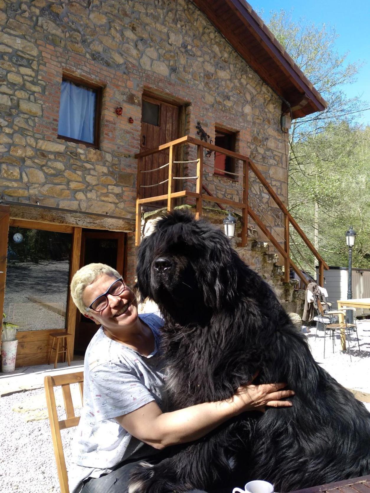 Posada Pet Friendly El Molino De Cantabria Entrambasaguas Kültér fotó
