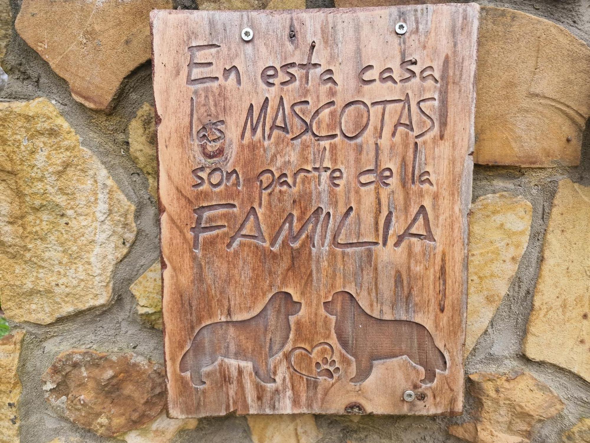 Posada Pet Friendly El Molino De Cantabria Entrambasaguas Kültér fotó